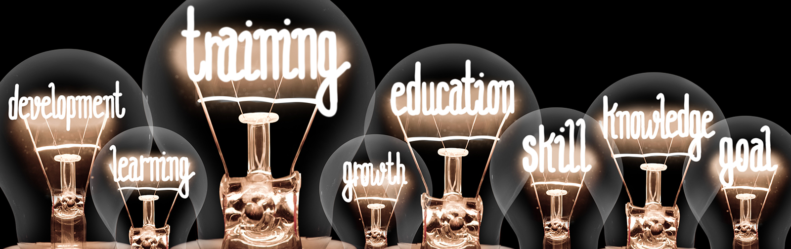 Accusysteme TransWatt - Schulungen für Händler und andere Profis